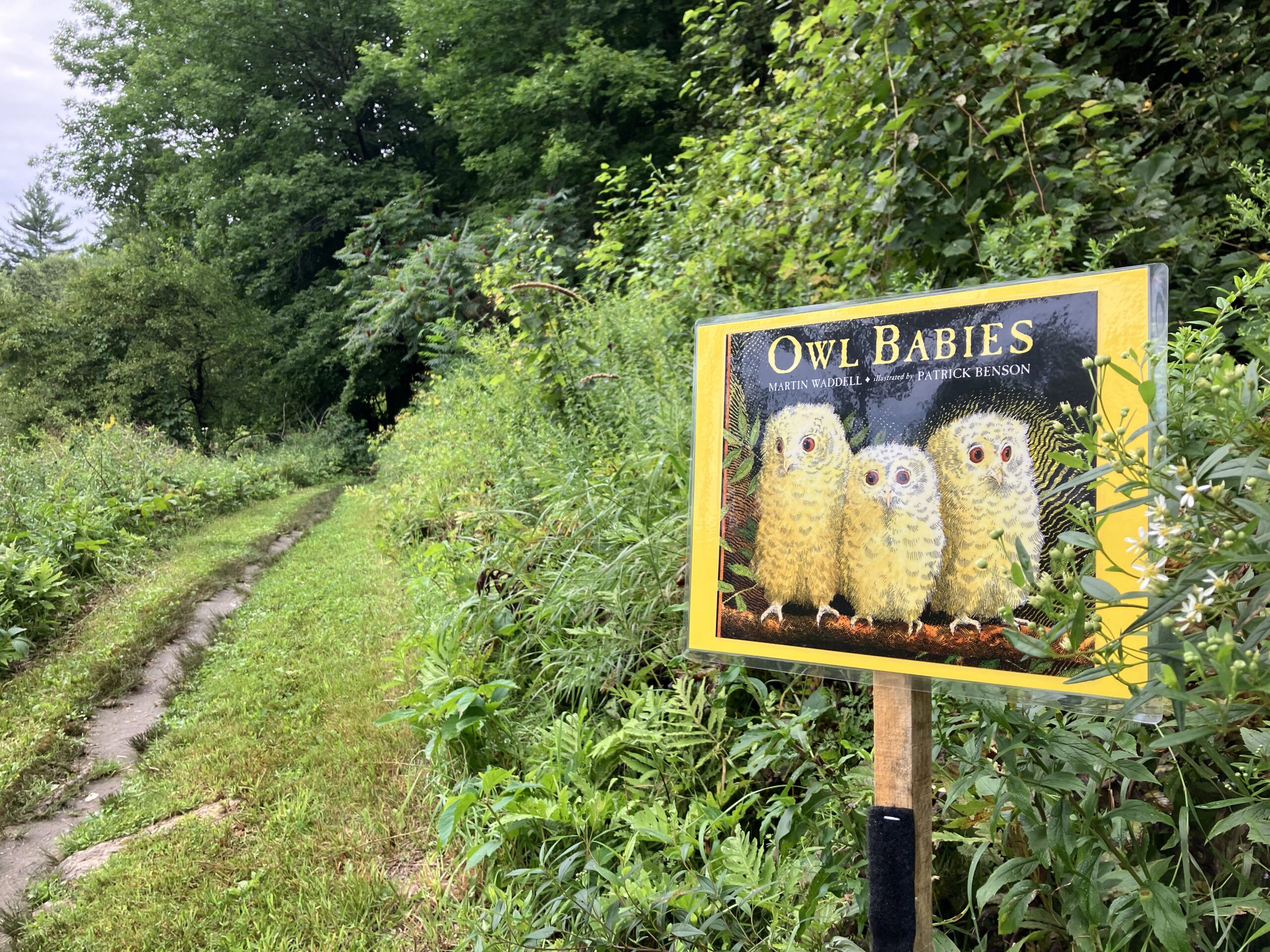 Owl Babies Storywalk® in the Forest